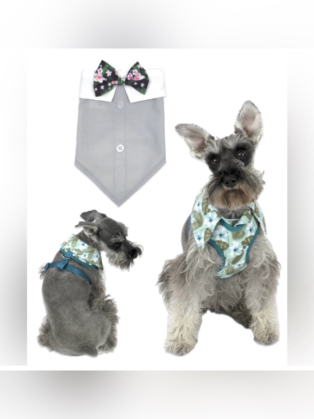 NWT Lot of 2x [Vibrant Life] Hawaiian Floral Harness & Bandanna Sz Medium Dog